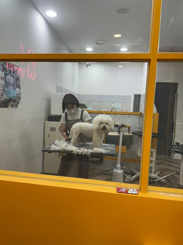 마이뷰티 이미지