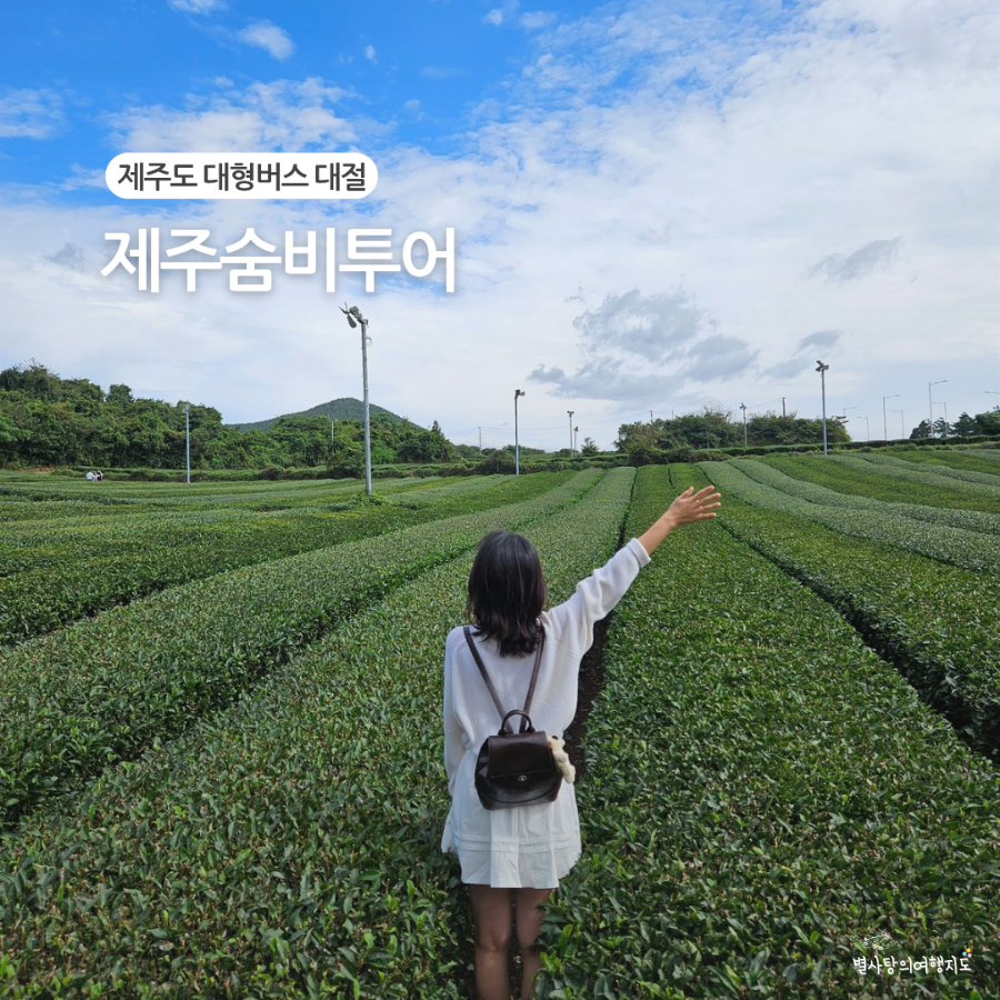 제주숨비투어 이미지