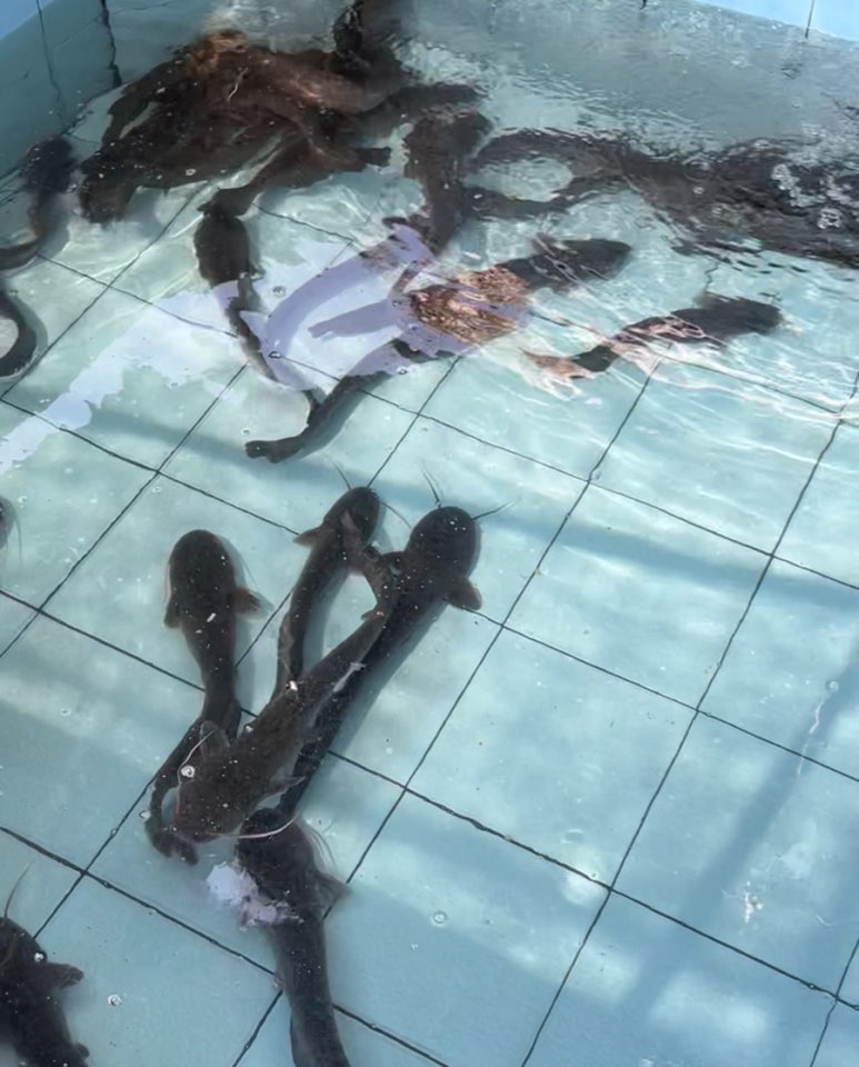 능곡송천매운탕 이미지