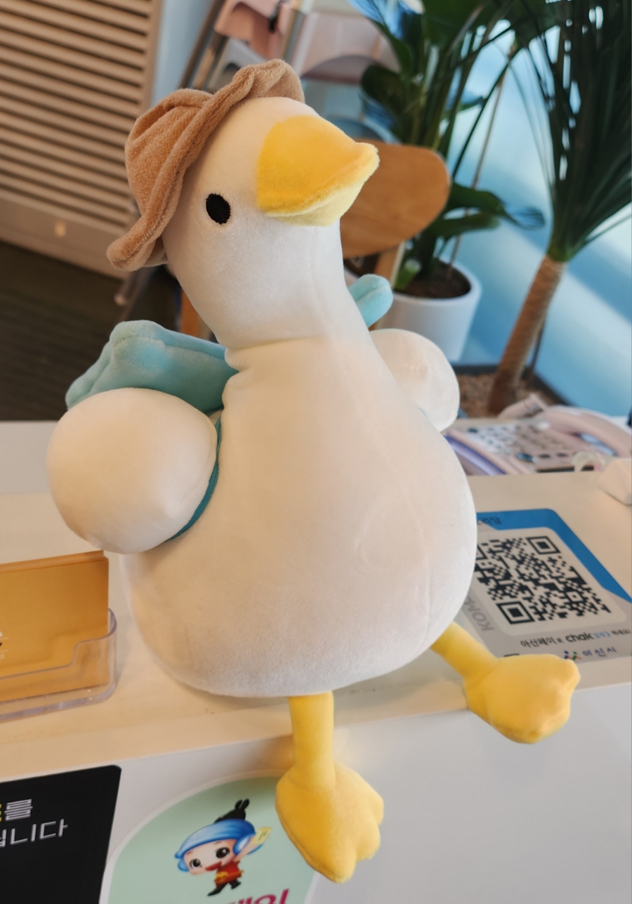 오리당 이미지