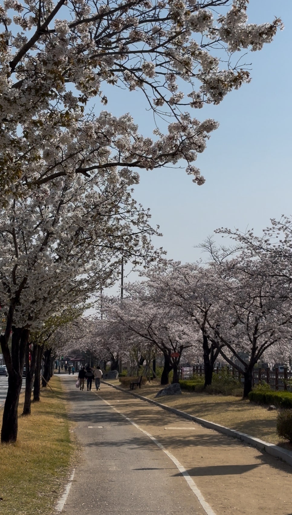 녹색주의보 이미지