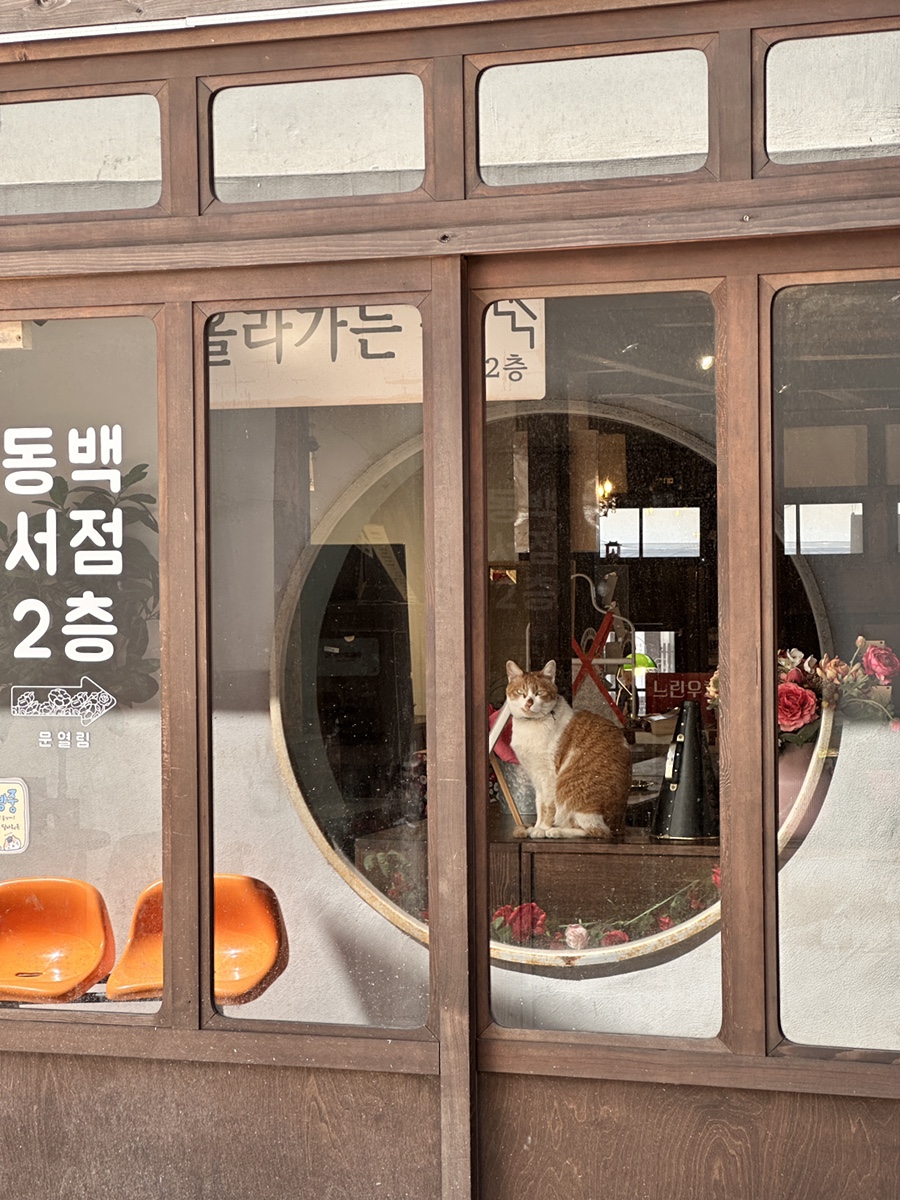 은석분식 이미지