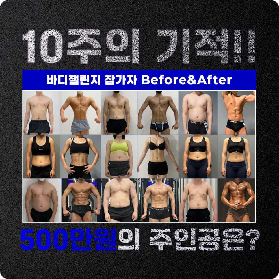 코코휘트니스 이미지