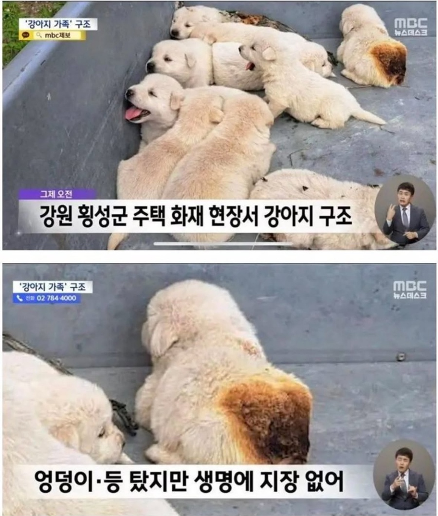 (주)보고 이미지
