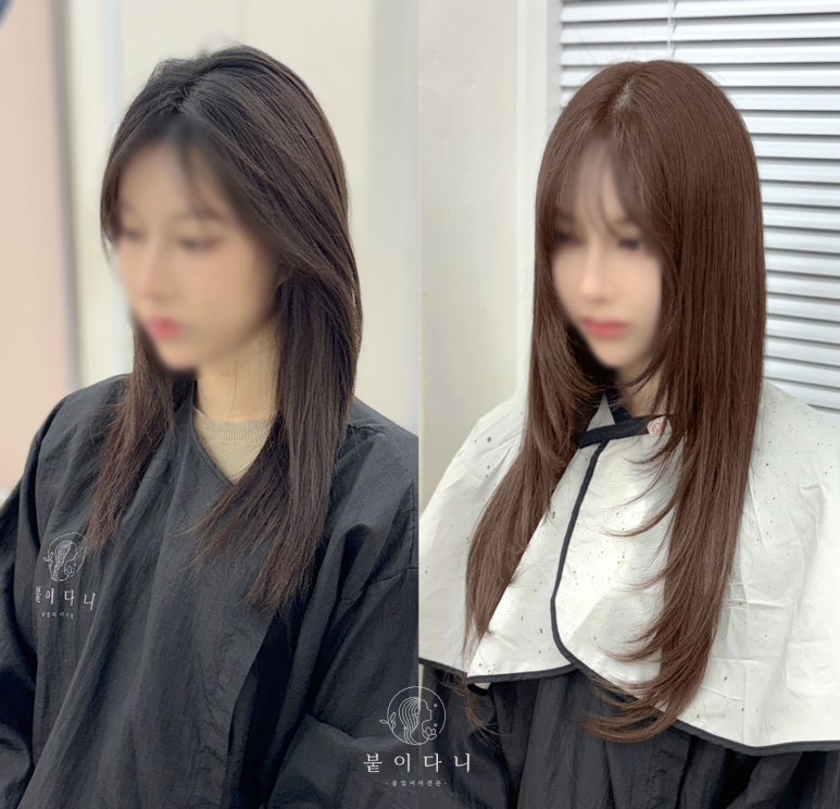 붙이다니 이미지