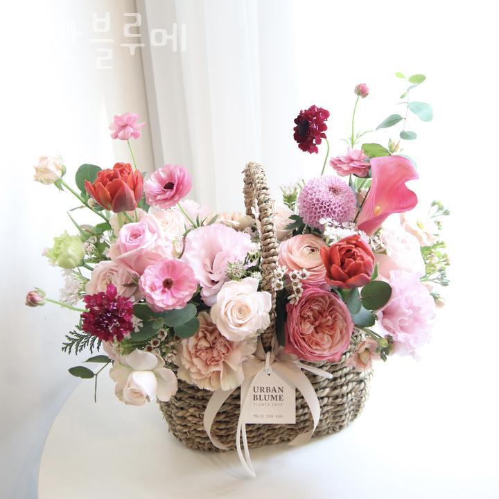 어반블루메 이미지