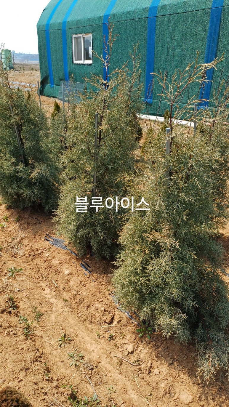 화성농원 이미지