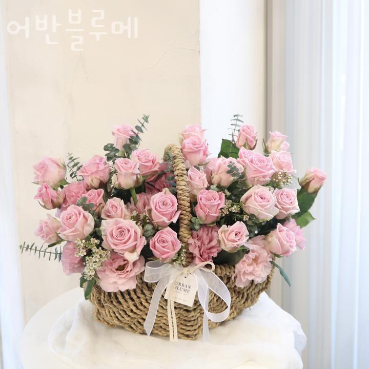 어반블루메 이미지