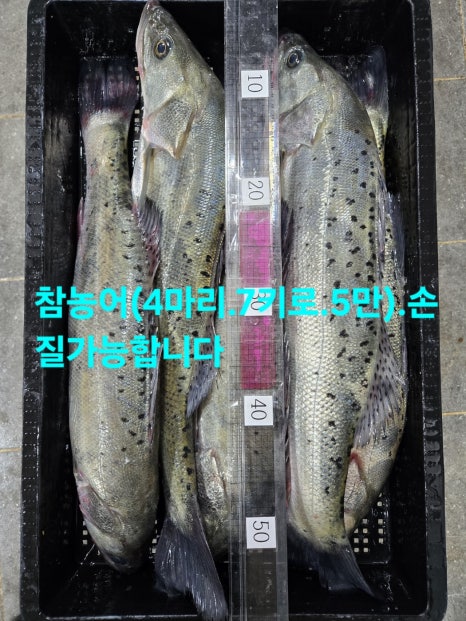 임여사수산 이미지