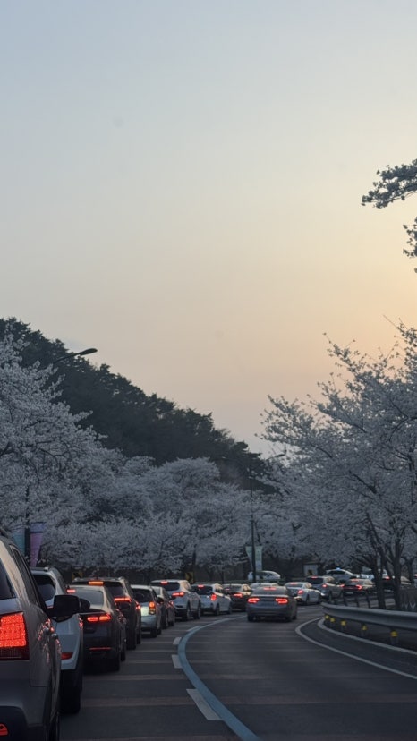 젠듀 이미지
