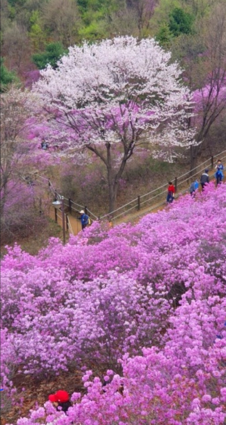 은성다방 이미지