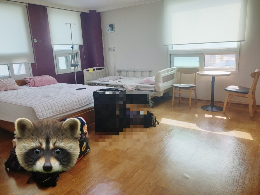 에디스 여성병원 이미지