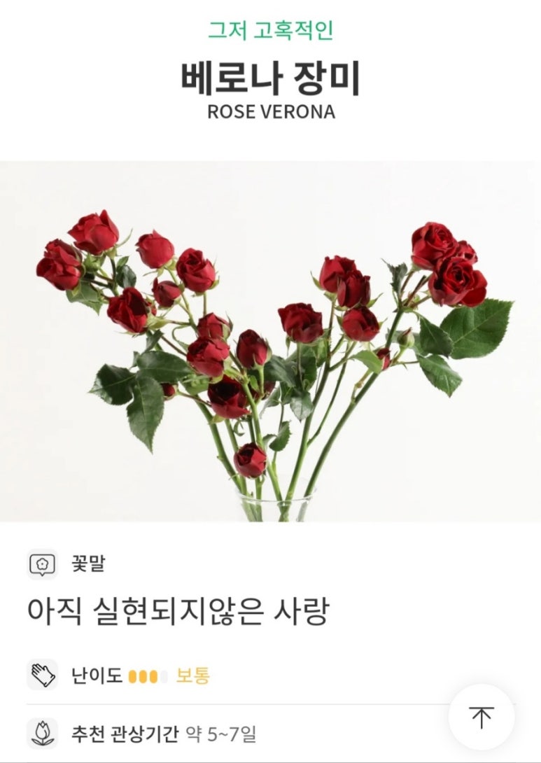 베로나플라워 이미지