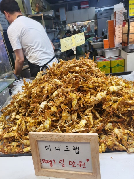 정감록명당체험마을 이미지