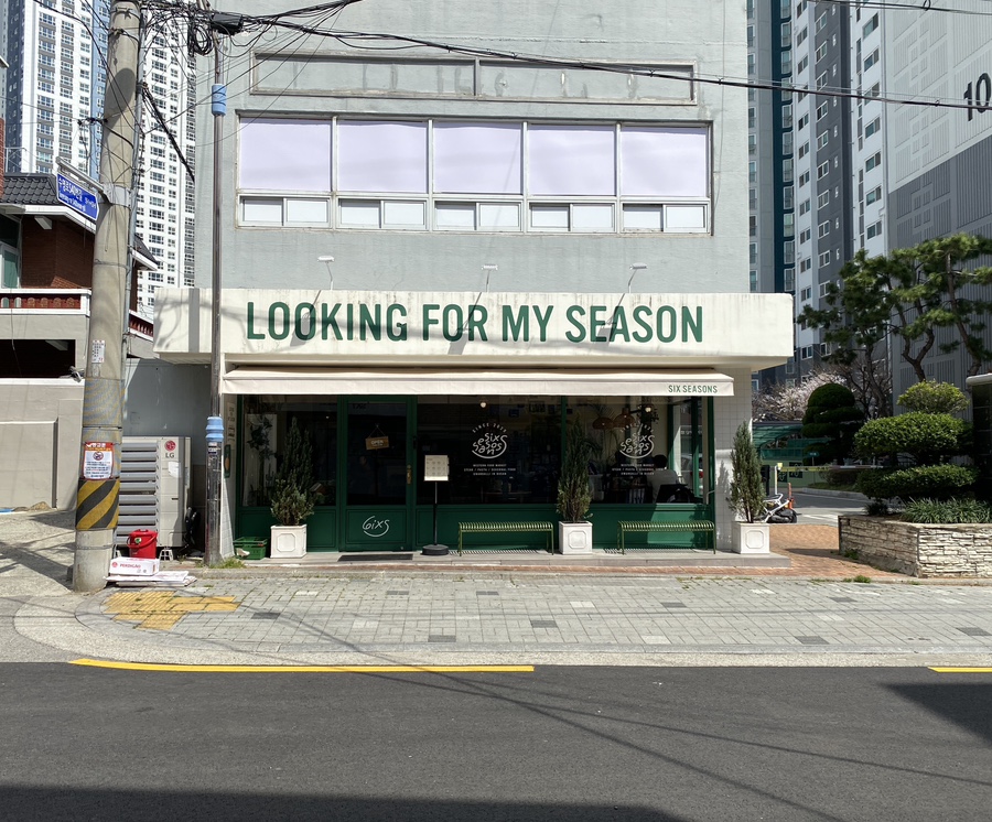 식스시즌스 이미지