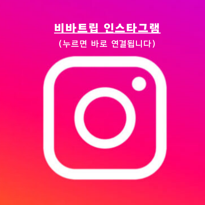 비바보홀 이미지