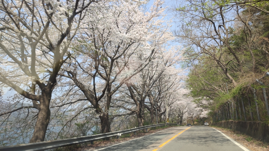 동천상사 이미지