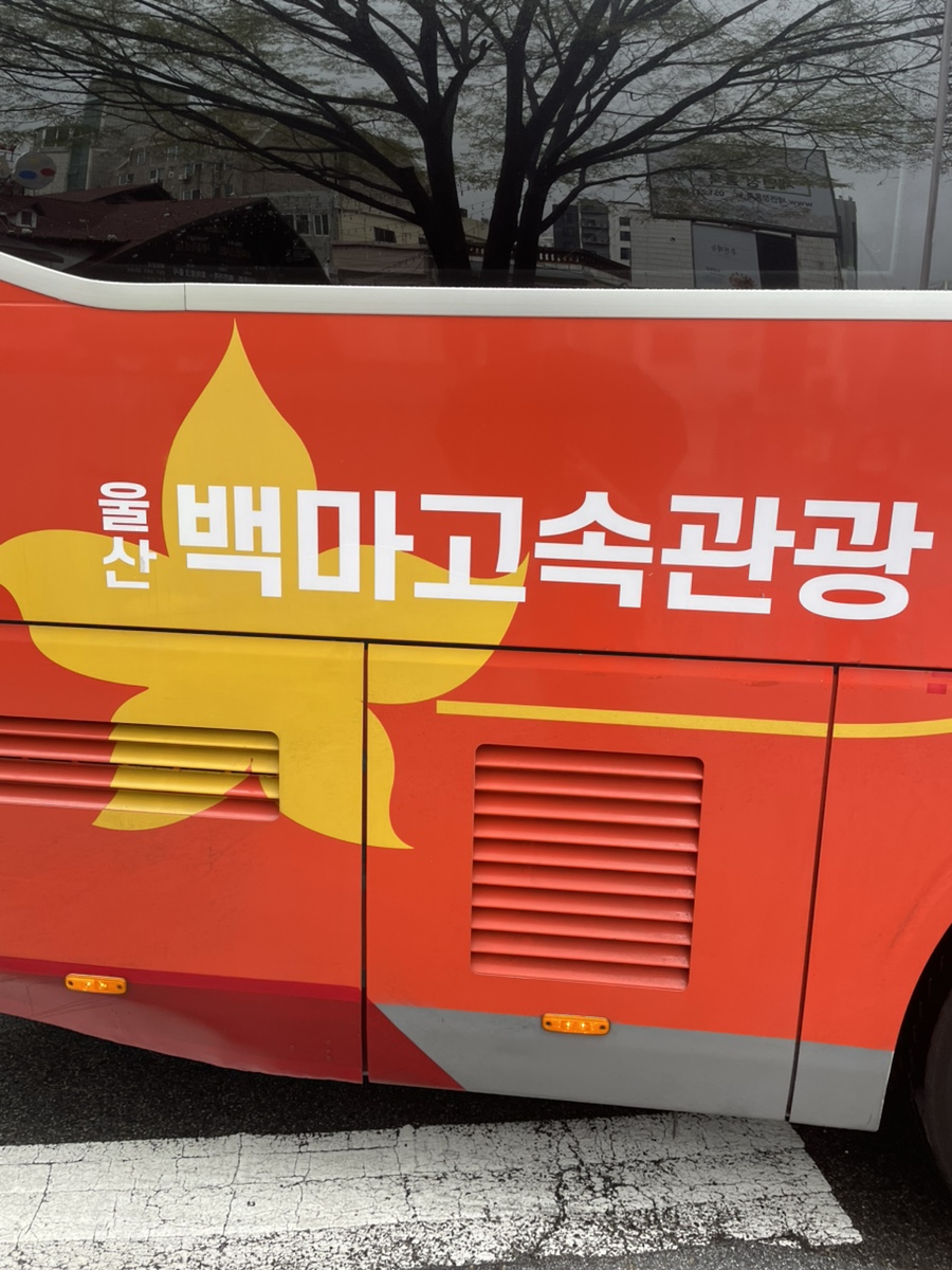 백마고속관광 이미지