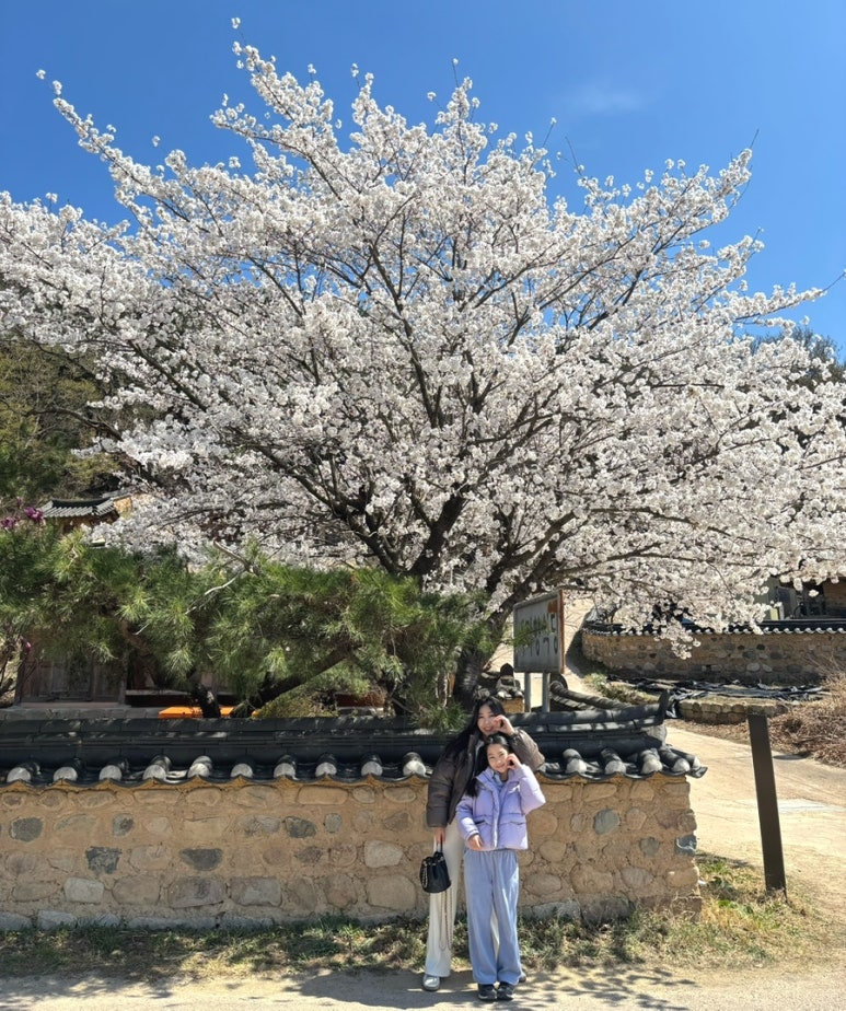 카페아보르 이미지