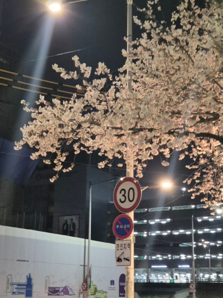 강박사 쌈밥 이미지