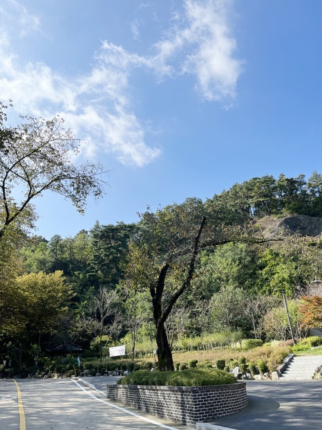 관악산 계곡 캠핑장 이미지