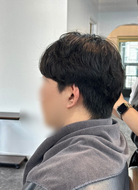 라미스헤어계대 이미지