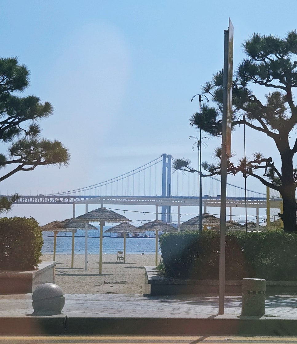 파코커피 이미지