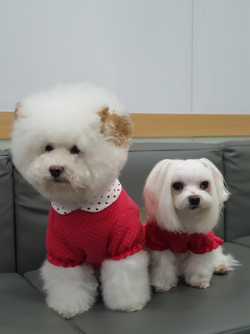 (주)우리돈 이미지
