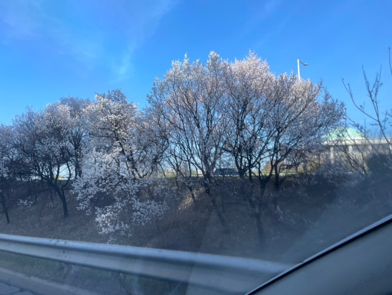 흠플러스(주) 이미지