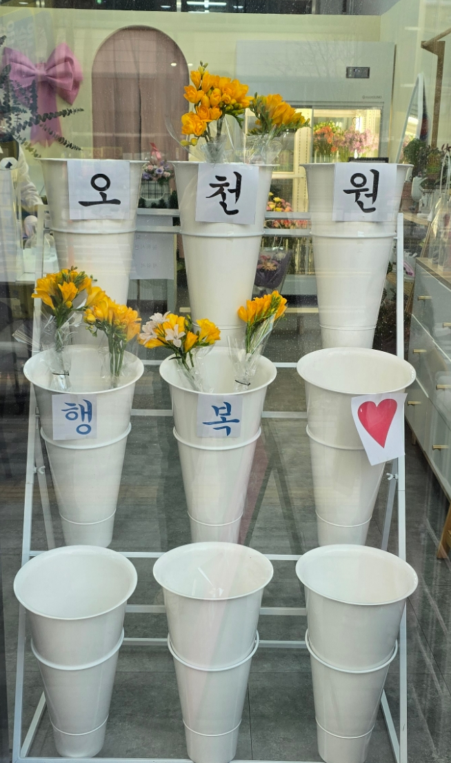 꽃빛소리 이미지