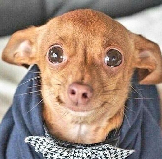 잉글리쉬키친 이미지