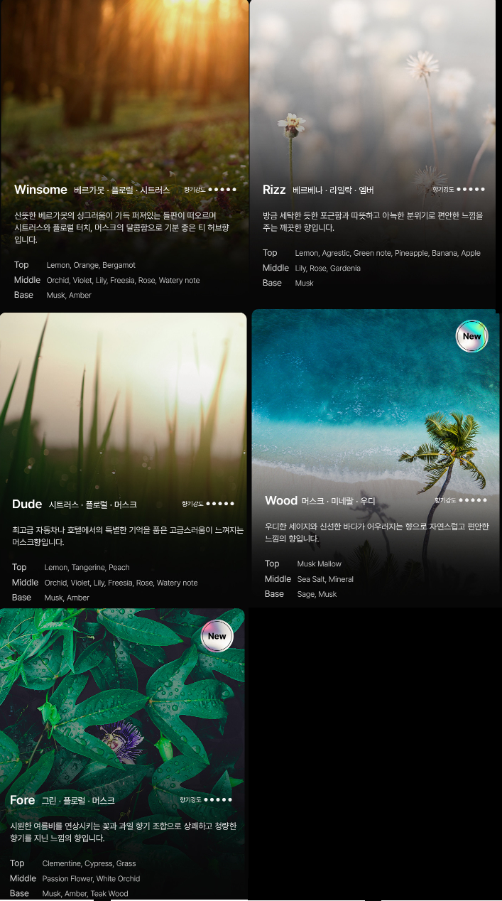 애트 이미지