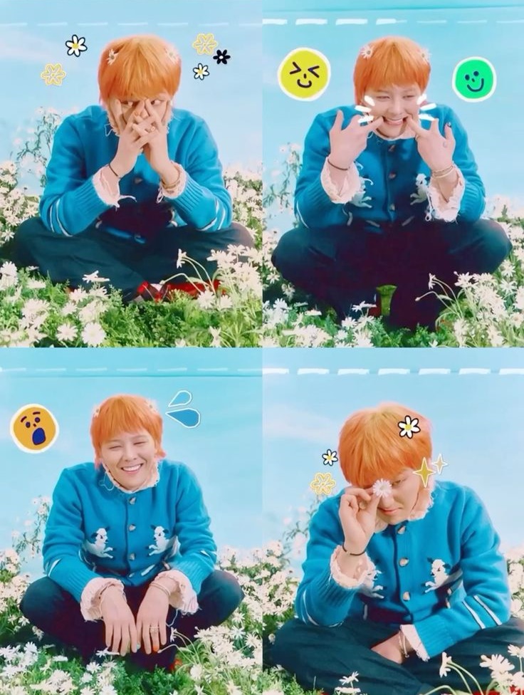 디자인지디 이미지
