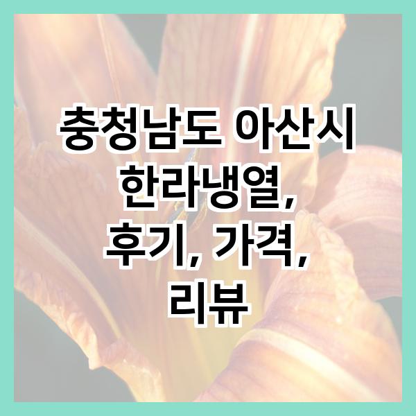 업소용냉장고냉동고쇼케이스에어컨설치수리 이미지