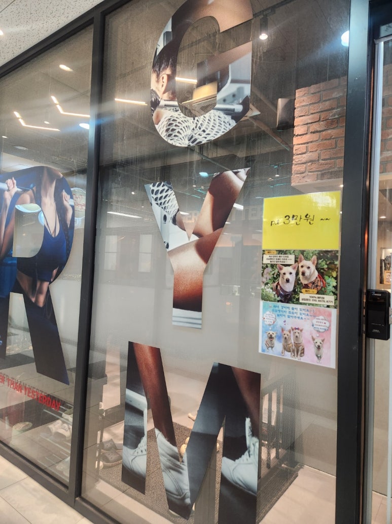 파워짐 이미지