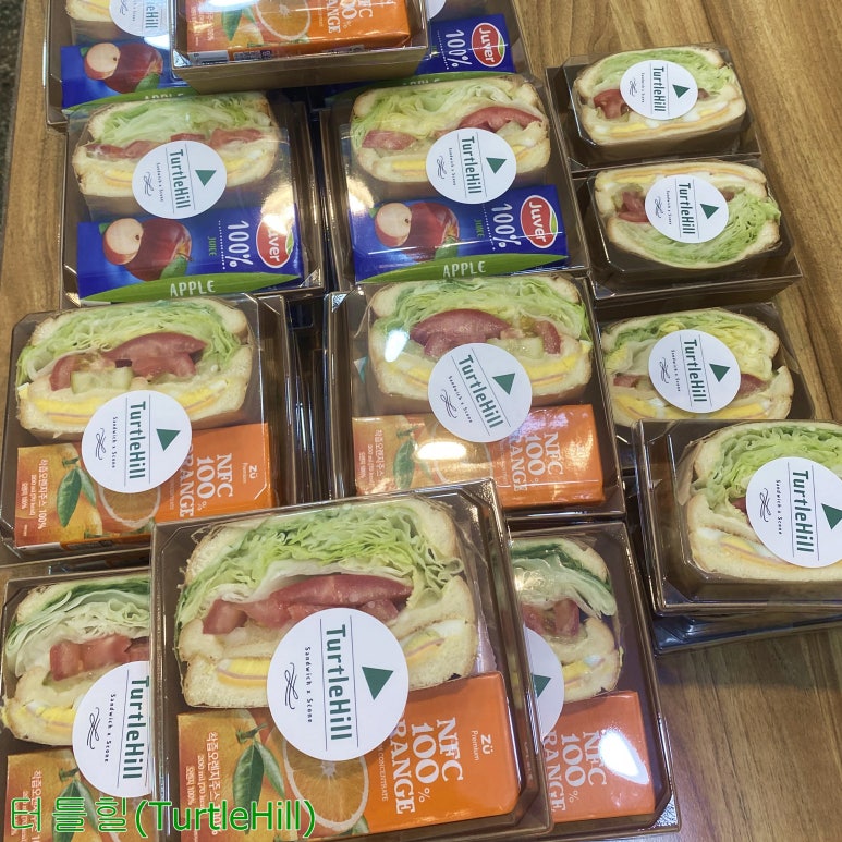 터틀힐 이미지
