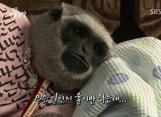 도트 이미지