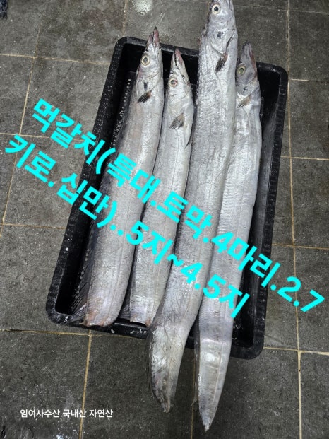 임여사수산 이미지