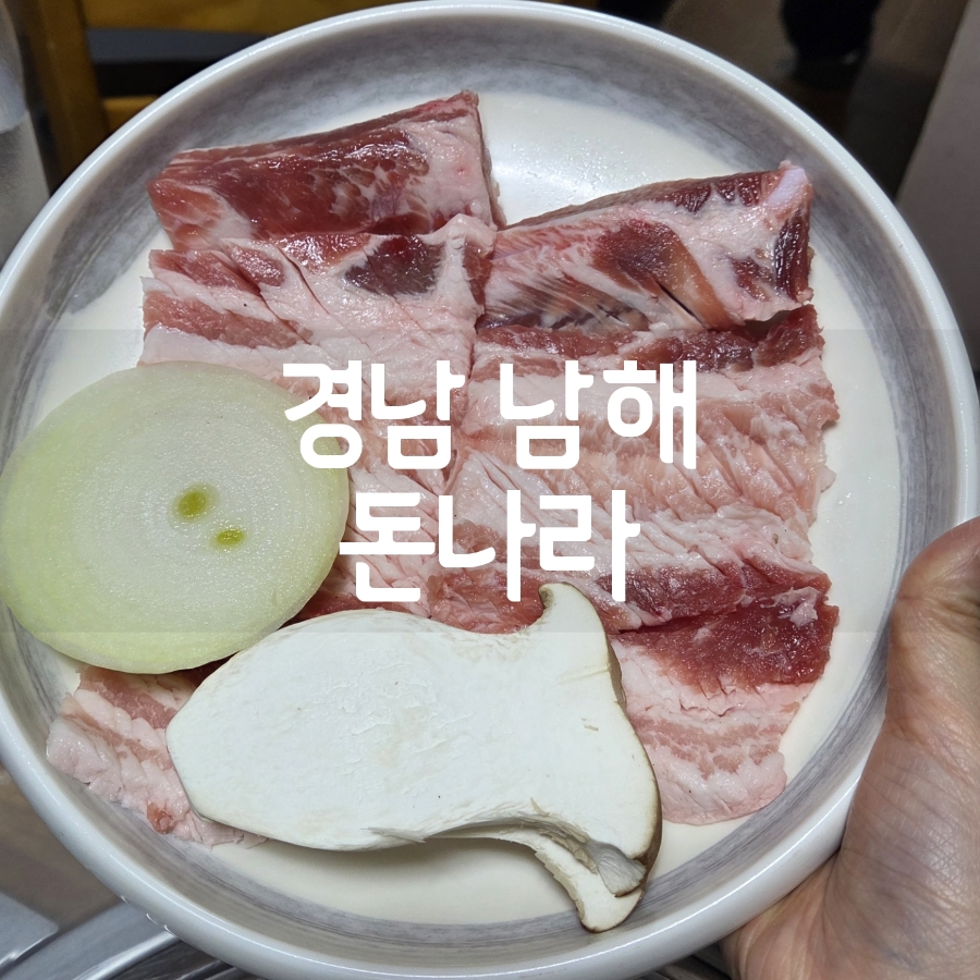 돈나라 이미지
