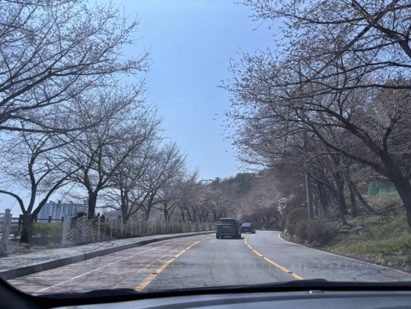 광교산골냉면 이미지
