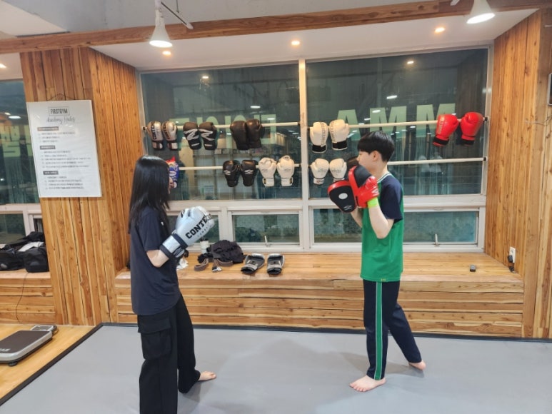 가은미트 이미지