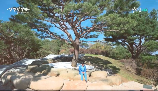 동산조경개발 이미지