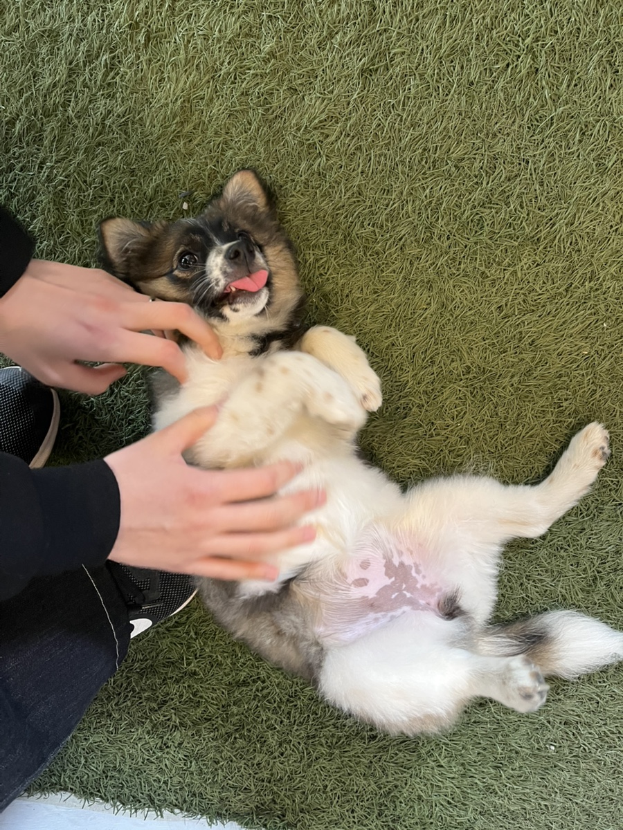 카페변호인 이미지