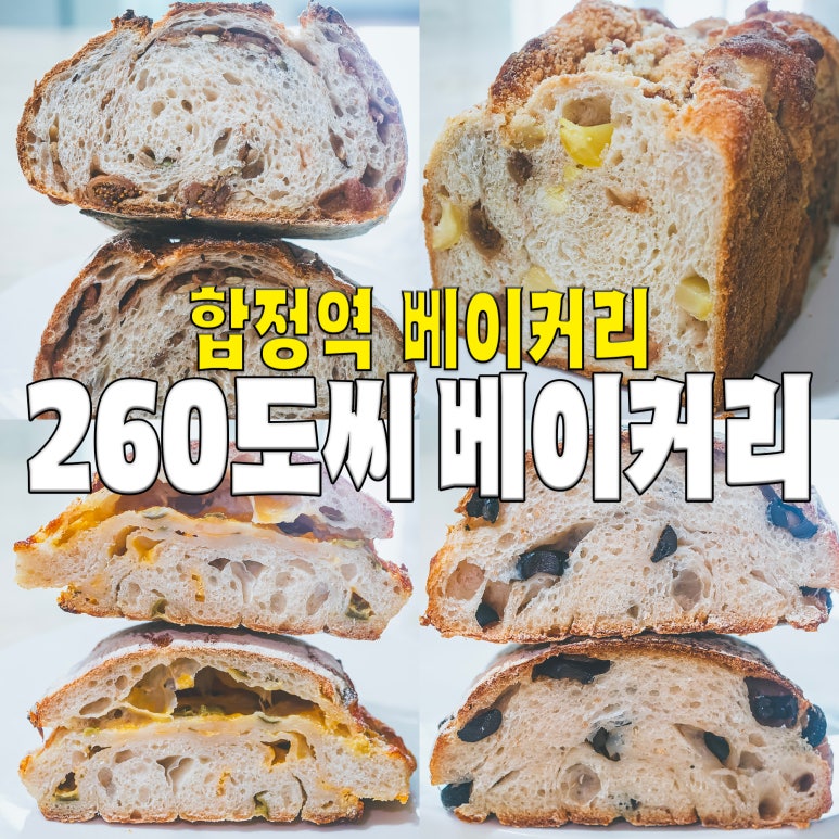 260도씨 이미지