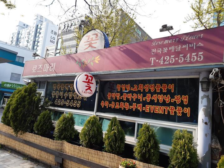 로즈마리플라워 이미지