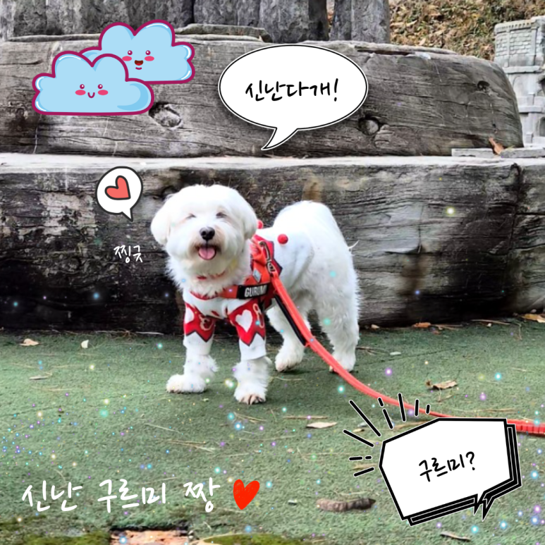 미소사료 이미지