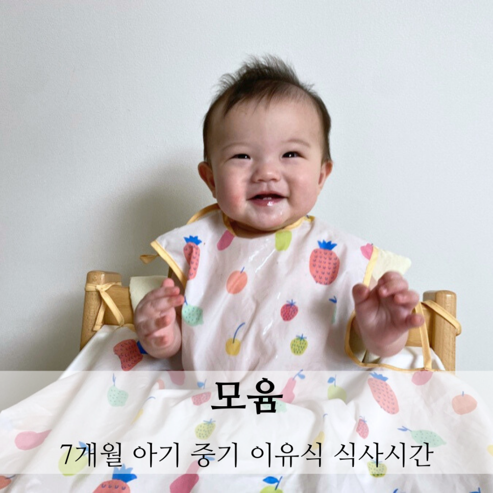 미르중기 이미지