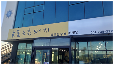 바다를품은돼지 이미지