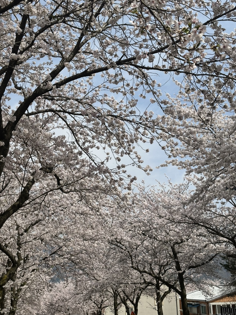 바른바름페인트 이미지
