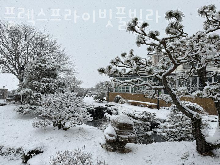 플렉스프라이빗풀빌라 이미지